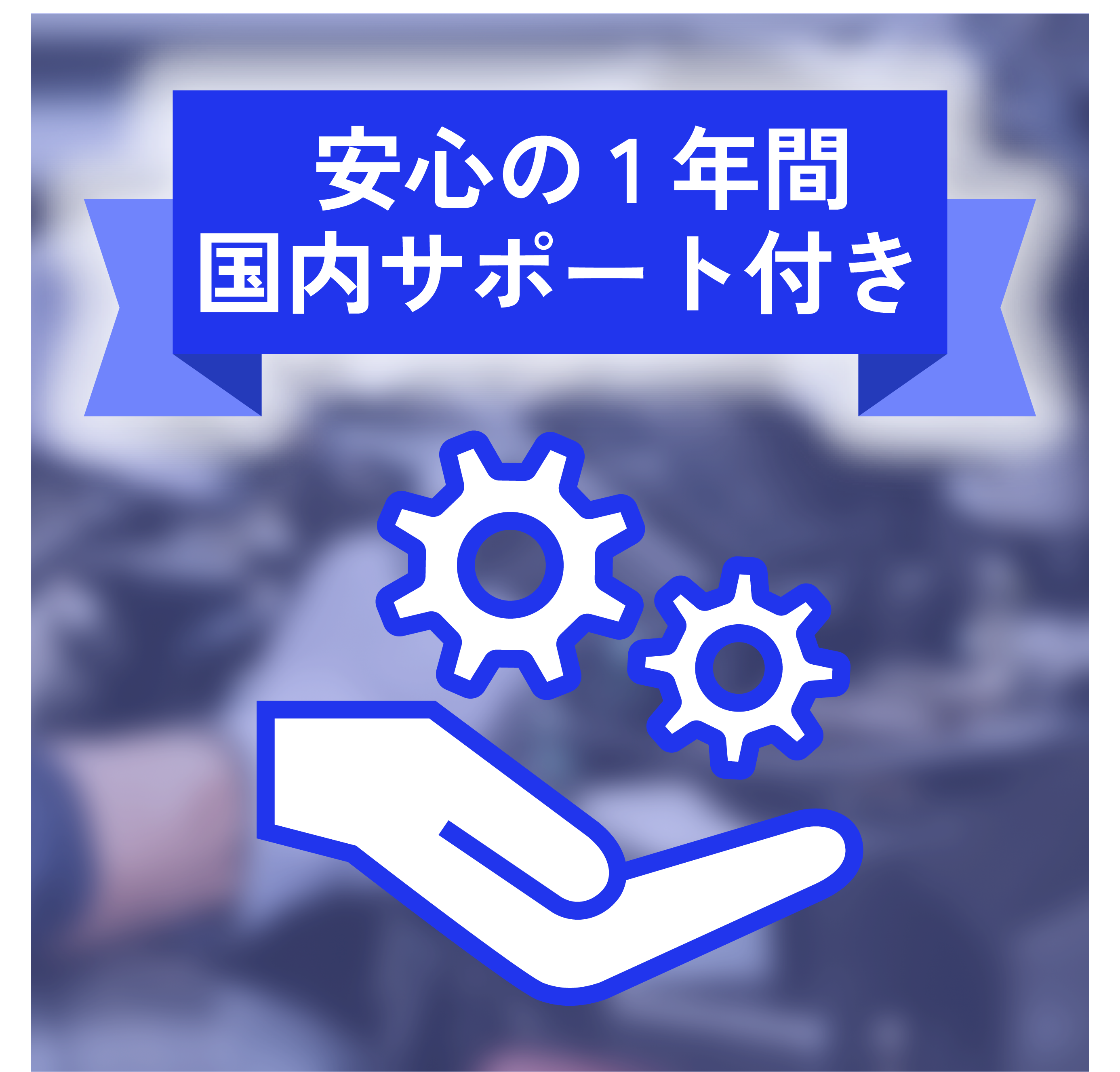 国内サポート